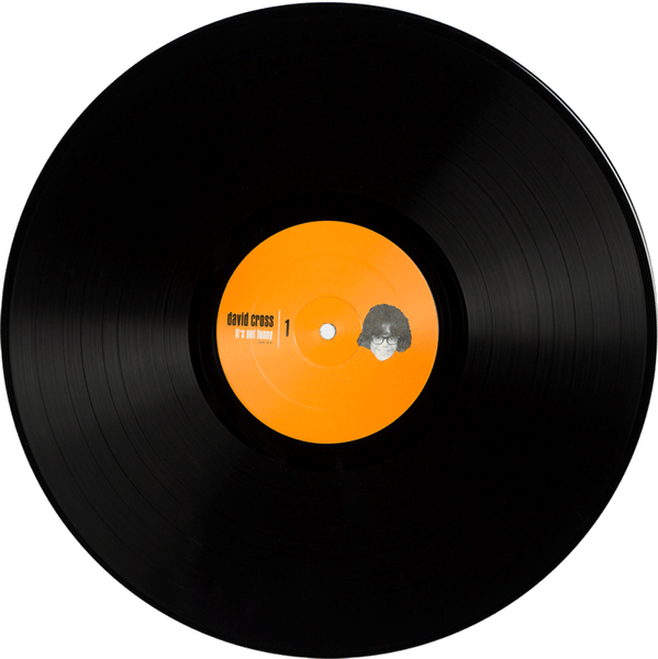 David Cross - It's Not Funny (black vinyl)