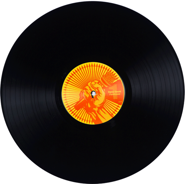 Dana Gould - Funhouse (black vinyl)